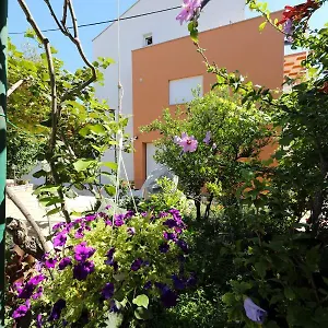 Ivanov Zadar